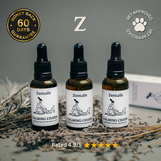 Calming Oil + Free Fireworks Guide