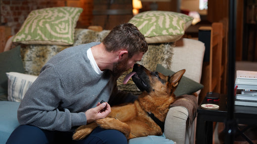 Bruno our German shepherd Licks Al's face as he applies Zentails Calming Charm to him.